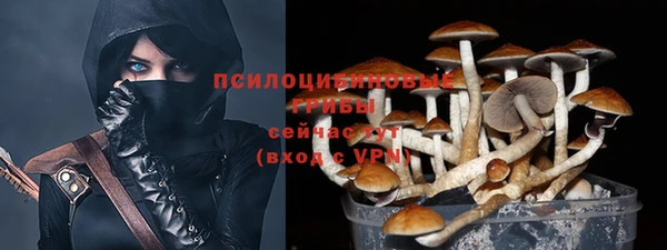 мескалин Алексин