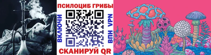 Псилоцибиновые грибы GOLDEN TEACHER Владимир