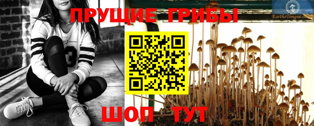Каннабис  NBOMe  Вход с VPN  Владимир  МЕФ  КОКАИН  Меф  