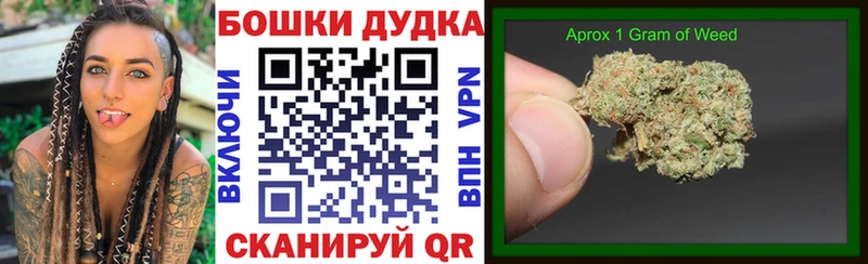 Канабис ГИДРОПОН Владимир